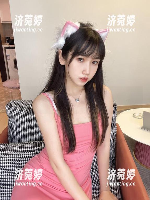 不呆猫的粉红美图，谁说猫不能有自己的风格？