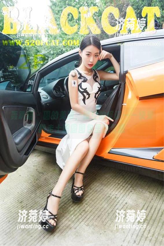 轰趴猫 - 圆的美丽，镂空的怪诞——快来搬走土肥圆图包里的灵感